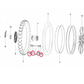 Bearing Kit | Rear Wheel | Surron LBX | Talaria Sting MX3 / MX4 | E Ride Pro