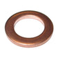 Copper Crush Washer Replacement kit M10